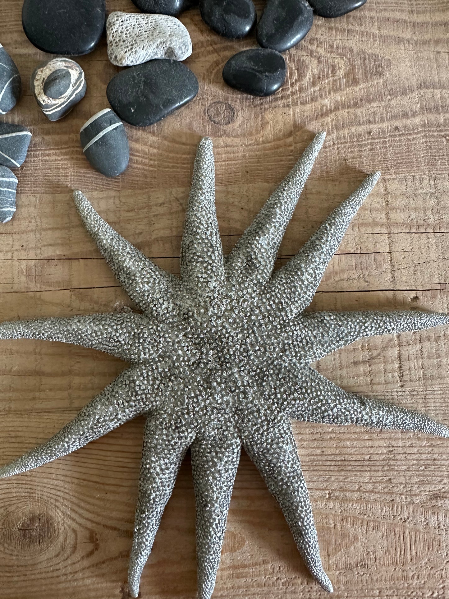 Starfish