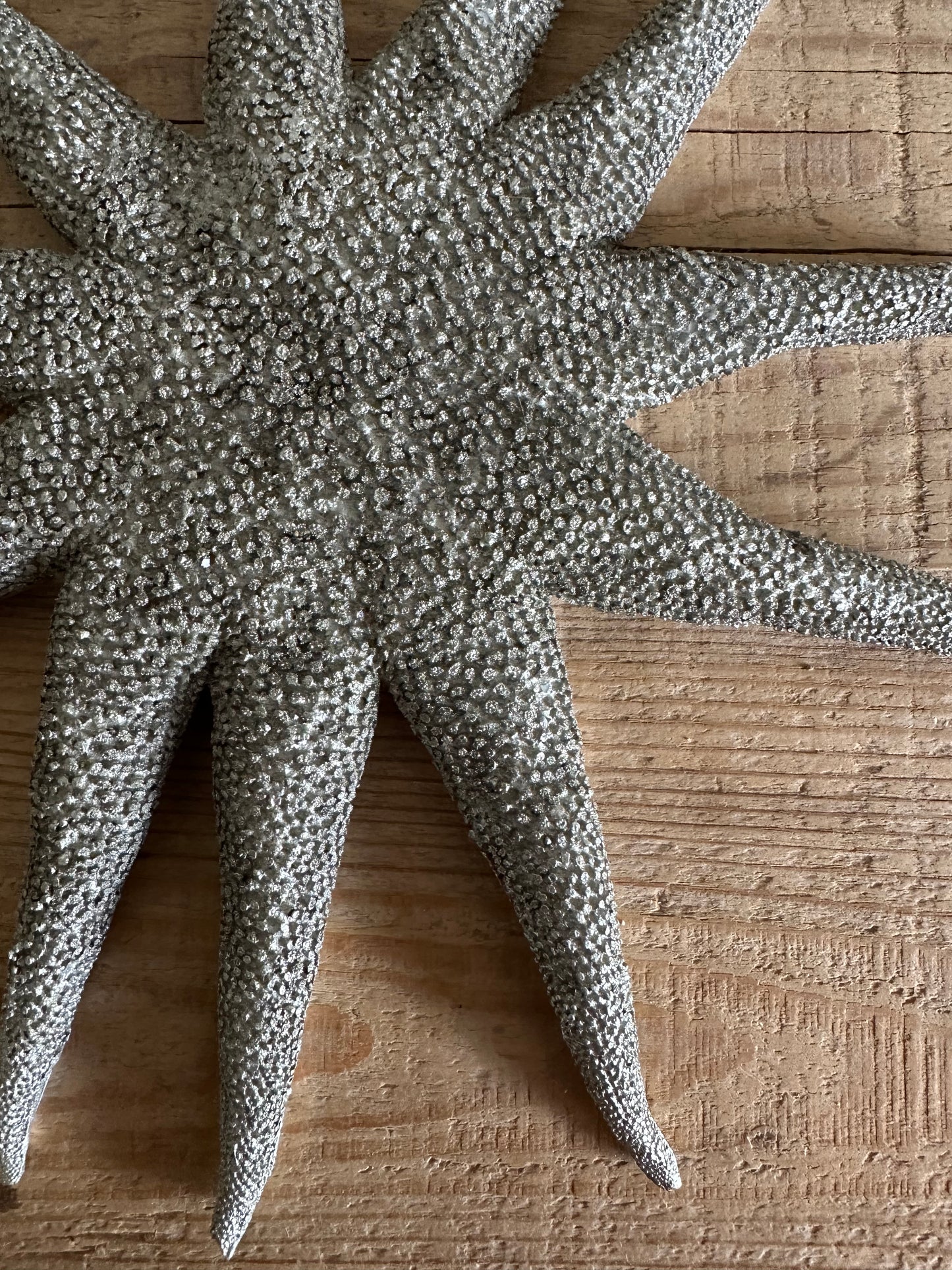 Starfish